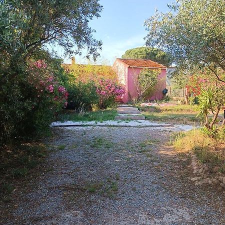 Maison De Vacances, Proche De La Plage Fréjus المظهر الخارجي الصورة