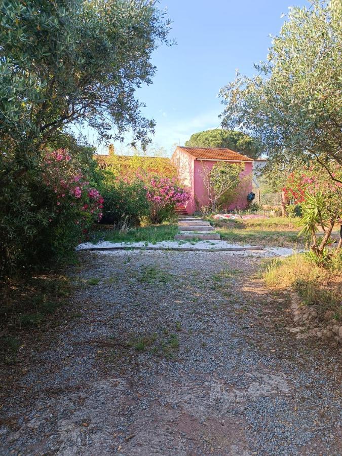 Maison De Vacances, Proche De La Plage Fréjus المظهر الخارجي الصورة